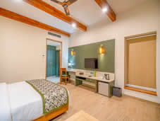 Martin Suite