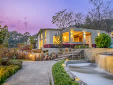 Martin Suite